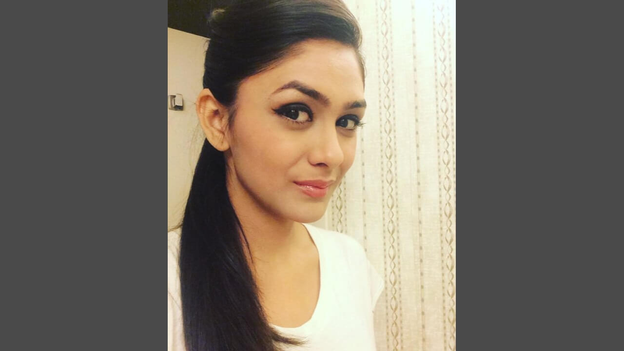 TV shows are time consuming: Mrunal Thakur 789960