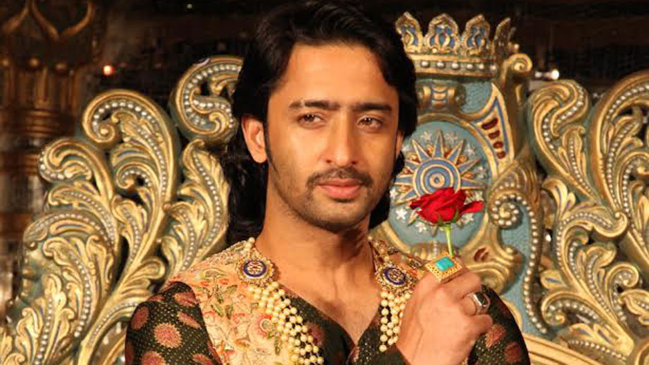 I feel very lucky to have got this opportunity to play the iconic character of Salim: Shaheer Sheikh