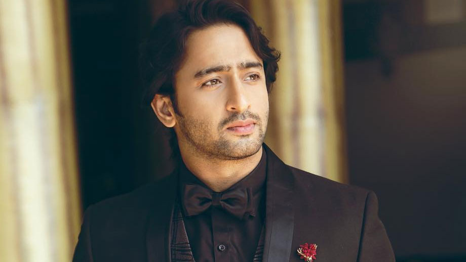 Shaheer Sheikh’s drool worthy pictures to make your day special!
