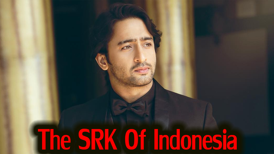 This is why Shaheer Sheikh is lovingly known as the SRK of Indonesia 2