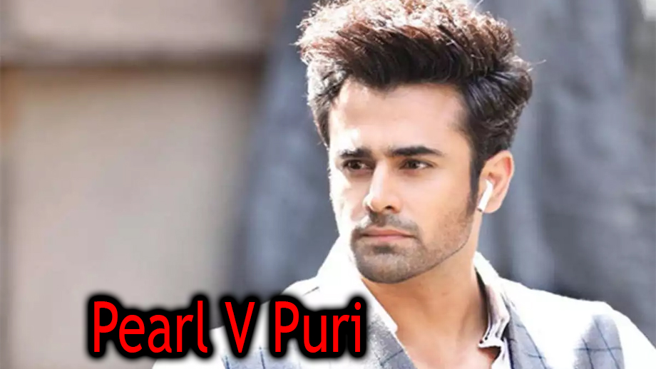 Everything you need to know about Naagin 3 star Pearl V Puri 1