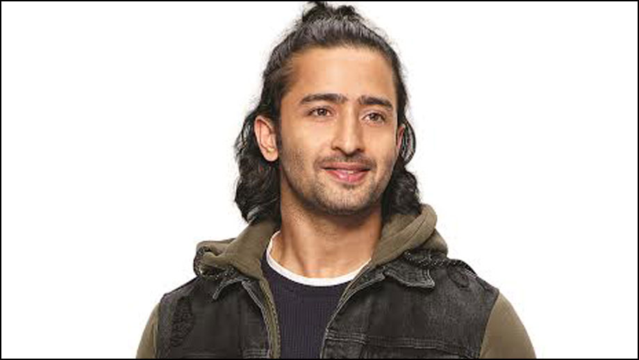 Friendship is often a starting point for getting two people close: Shaheer Sheikh