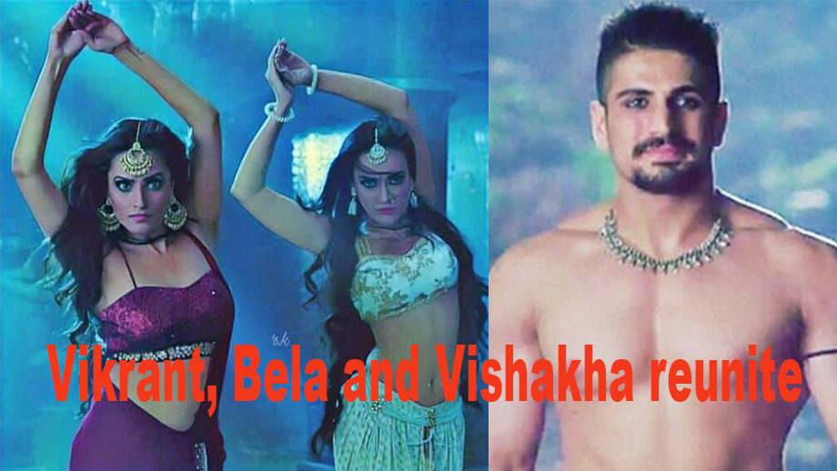 Naagin 3 11 May 2019 Written Update Full Episode: Vikrant, Bela and Vishakha reunite