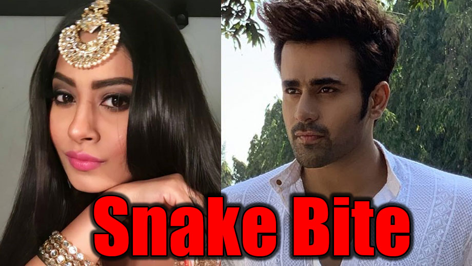 Naagin 3: Mihir to be bitten by Tanya in her snake avatar