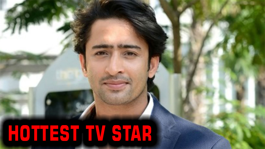 These drool worthy pictures of Shaheer Sheikh prove he is the hottest TV star 3