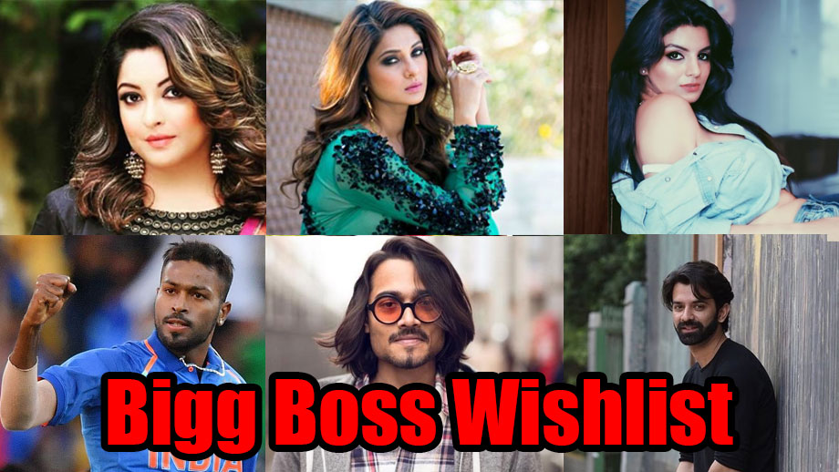 Bigg Boss season 13: Wishlist of contestants 16