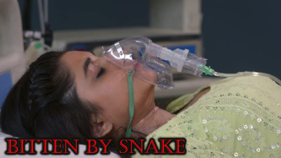 Guddan Tumse Na Ho Payega 6 June 2019 Written Update Full Episode: Guddan gets bitten by snake