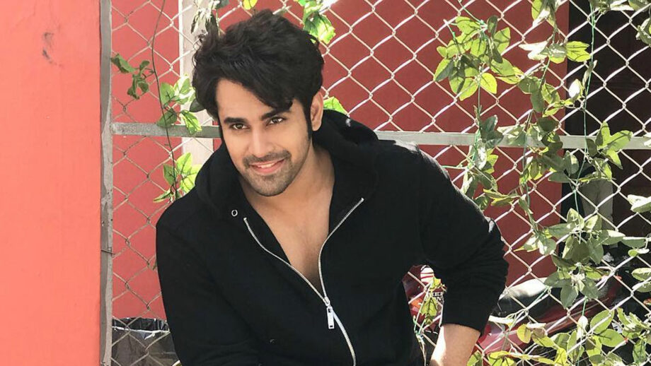 Naagin 3 fame Pearl V Puri introduces his baby boy