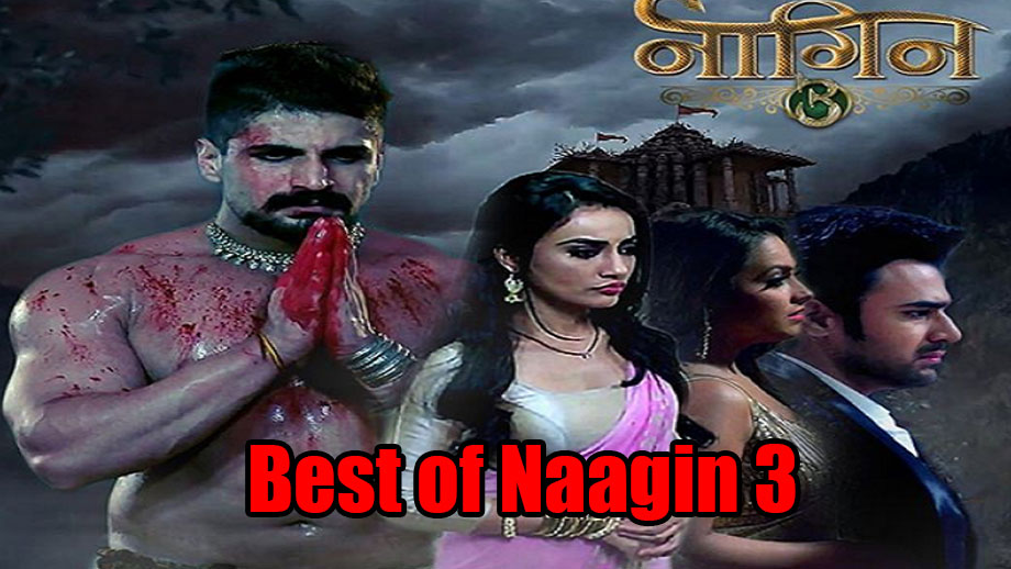 Naagin 6 First Impression: A patriotic naagin who sways to Vande Mataram,  and a sasta stand-in for Money Heist's Professor | Television News - The  Indian Express