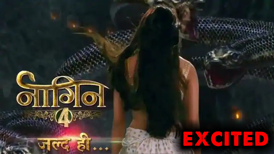 Naagin 4 is coming and it has us all excited 1