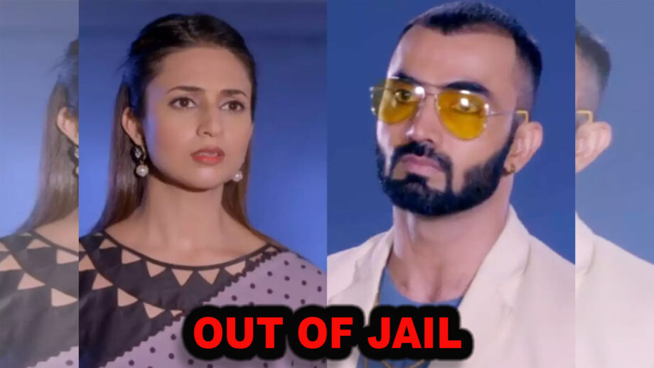Yeh Hai Mohabbatein 13 June 2019 Written Update: Sahil out of the jail