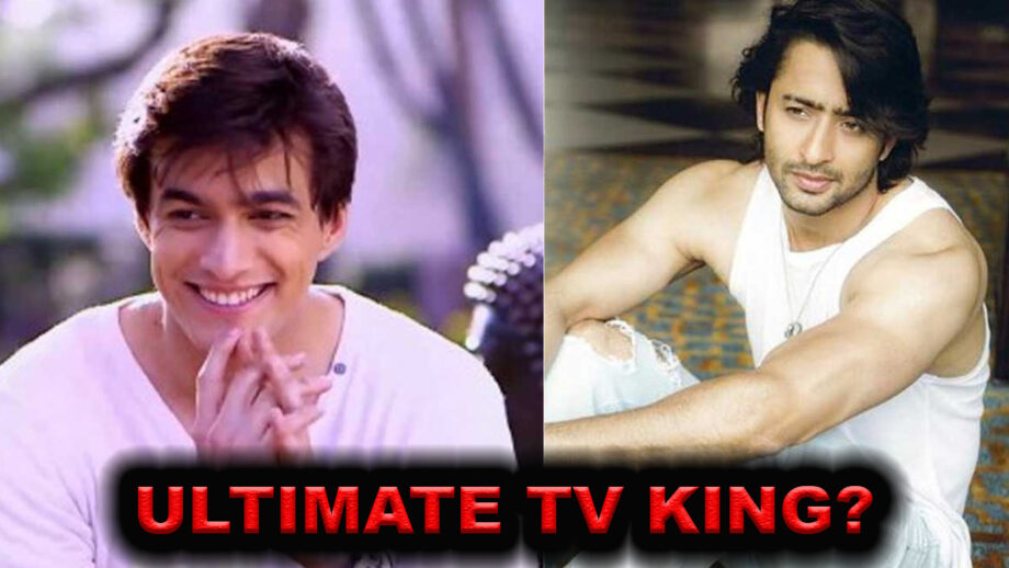Mohsin Khan vs Shaheer Sheikh: Who is the ultimate TV King?