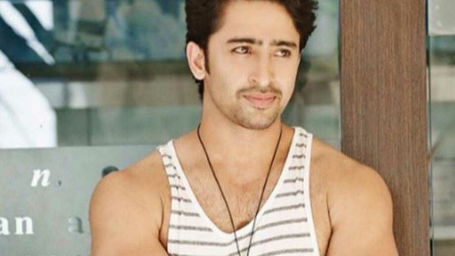 Shaheer Sheikh is a versatile actor, here's the proof!