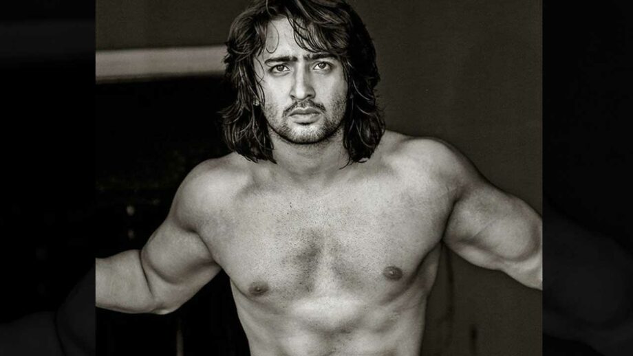 Shaheer Sheikh's hot shirtless pictures