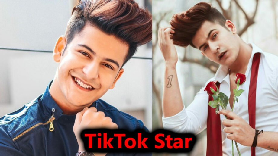 Hottest moments of TikTok star Manjul Khattar because why not