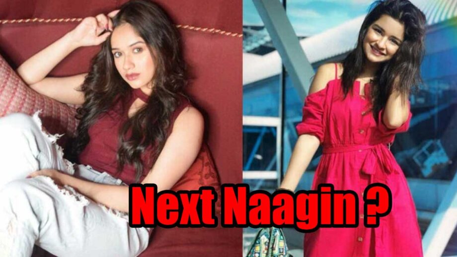 Who should be the next Naagin ?