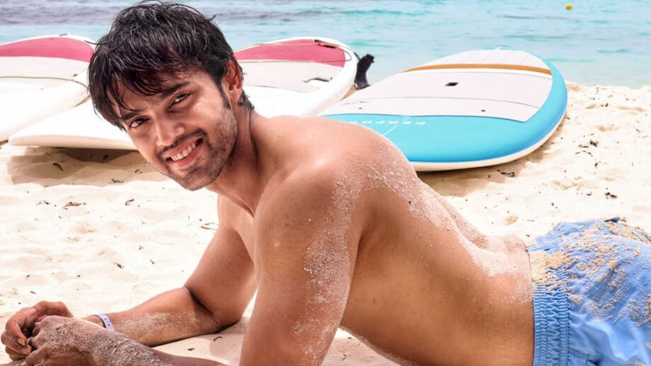 Parth Samthaan's hot bare-bodied picture on the beach 