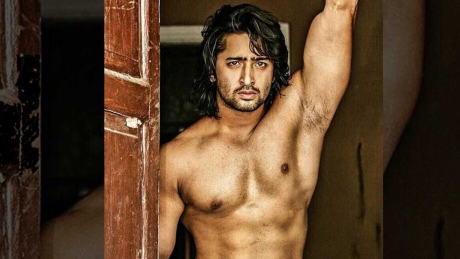 When Shaheer Sheikh left us drooling with his abs-tastic body 1