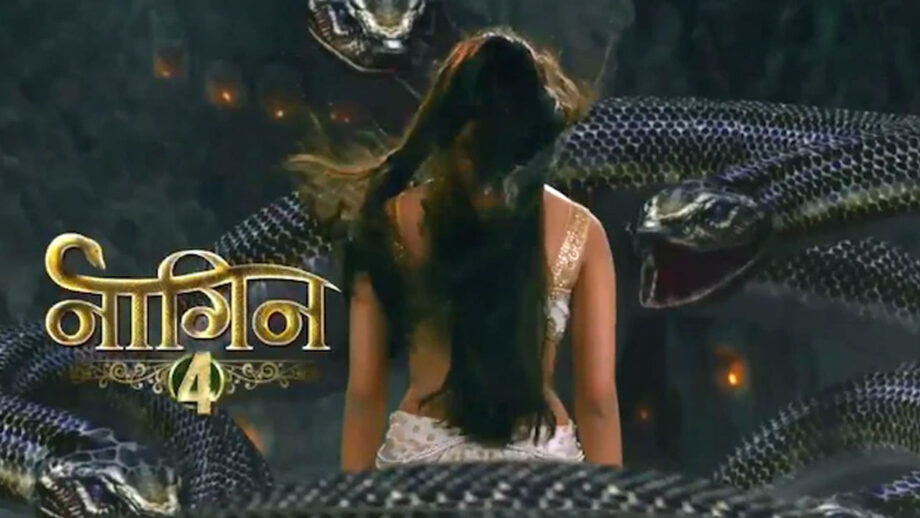 All you need to know about Naagin 4
