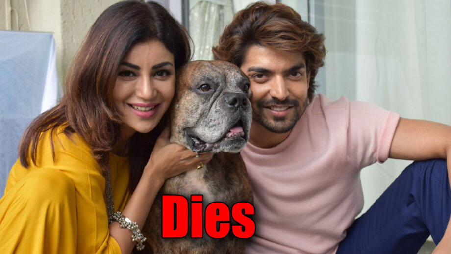 Gurmeet Choudhary’s dog dies; actor pens an emotional note