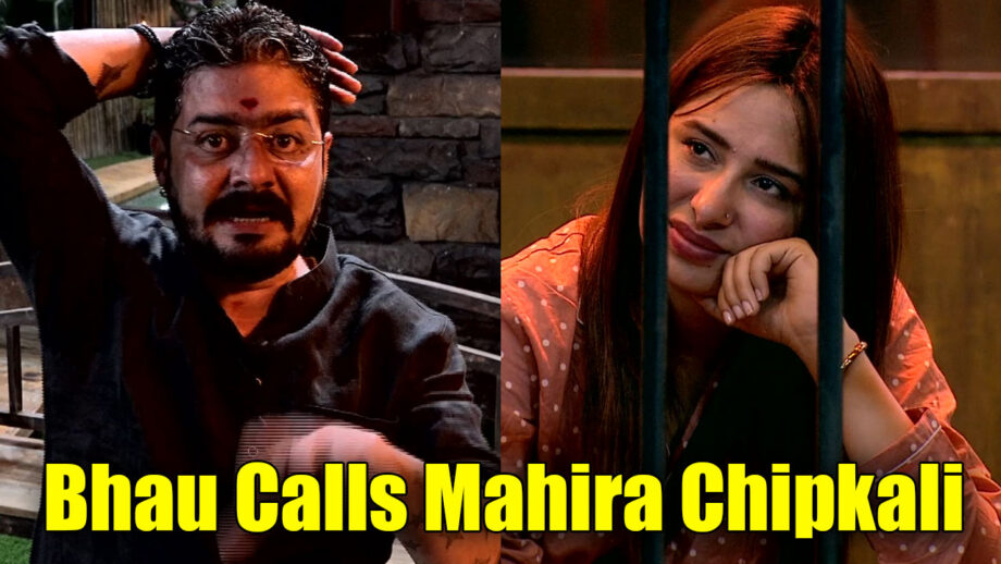 Bigg Boss 13: Hindustani Bhau calls Mahira 'chhipkali'