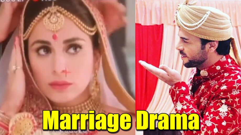 Kundali Bhagya: OMG!! Preeta agrees to marry Prithvi