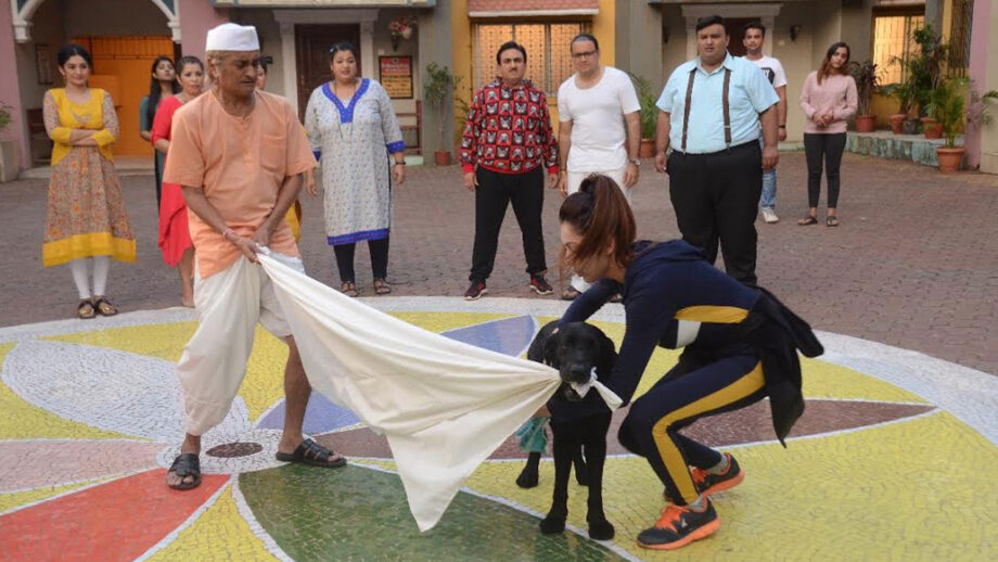 Taarak Mehta Ka Ooltah Chashmah: Dog chases Bapu ji and Jethaa Lal for jalebi-faafda