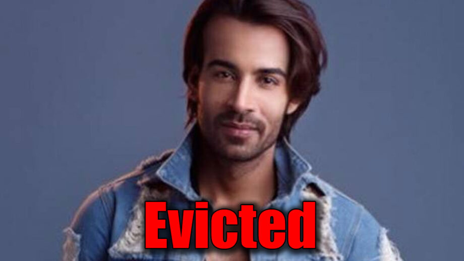 Arhaan Khan evicted from Bigg Boss 13 1
