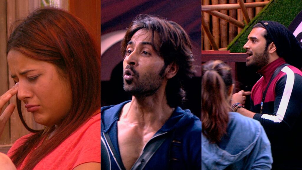 Bigg Boss 13 Day 62: Huge Love Confession in the house