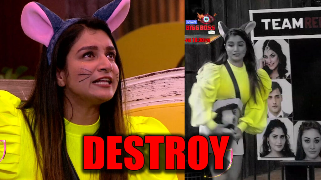 Bigg Boss 13: Shefali Bagga to lose her calm and destroy captaincy task