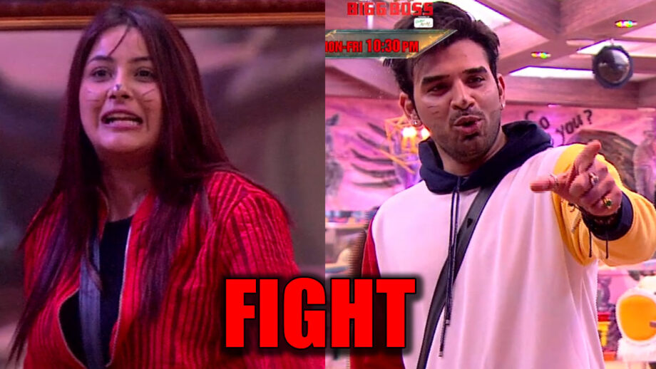 Bigg Boss 13: Shehnaaz Gill and Paras Chhabra’s cat and mouse fight