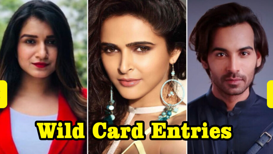 Bigg Boss 13 wild card entries: Shefali Bagga, Arhaan Khan, Madhurima Tuli to 'enter'tain