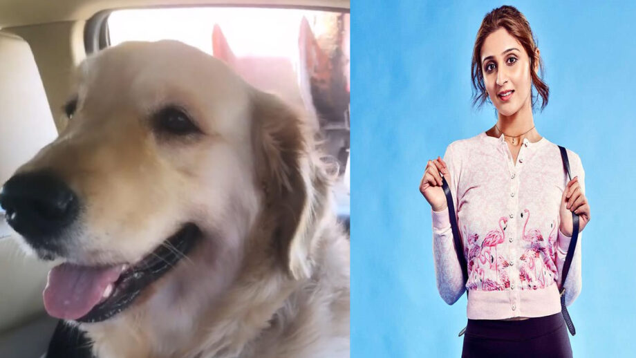 Dhvani Bhanushali has a day out with her dog 2