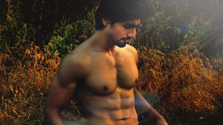 Hot looks of Harshad Chopda when shirtless 11