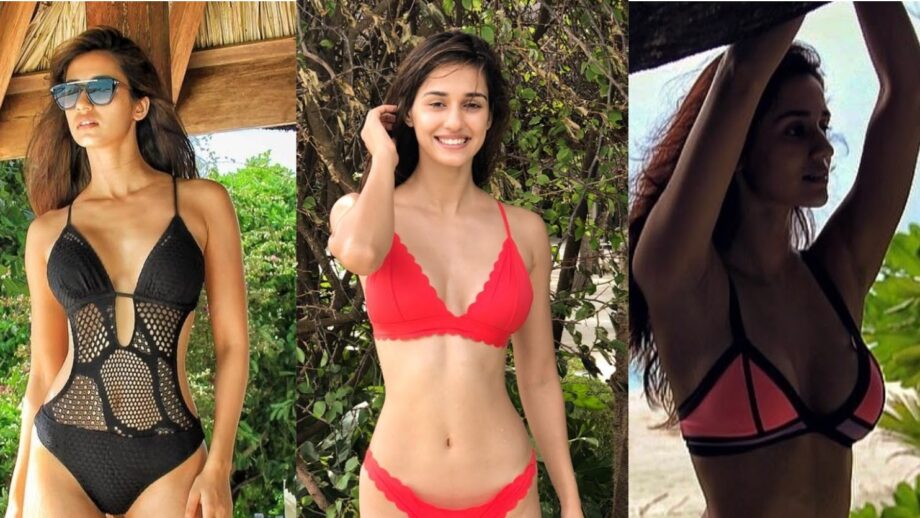 Hottest Disha Patani Bikini Pictures Will Make You Fall In Love With Her 3