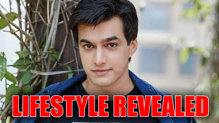 Mohsin Khan's lifestyle details REVEALED