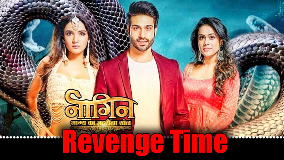 Naagin – Bhagya Ka Zehreela Khel: Nayanthara on revenge mode, can Brinda shield Dev?