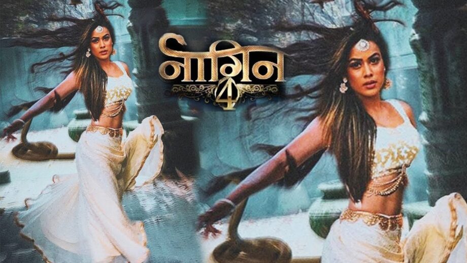 Reasons why we are excited to watch Nia Sharma and Jasmine Bhasin in Naagin 4