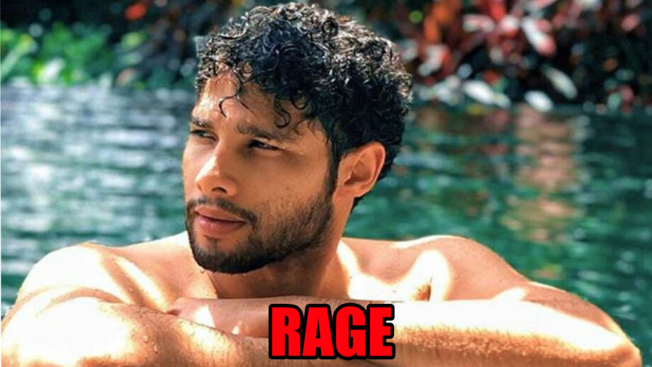 The reason why Siddhant Chaturvedi is a rage