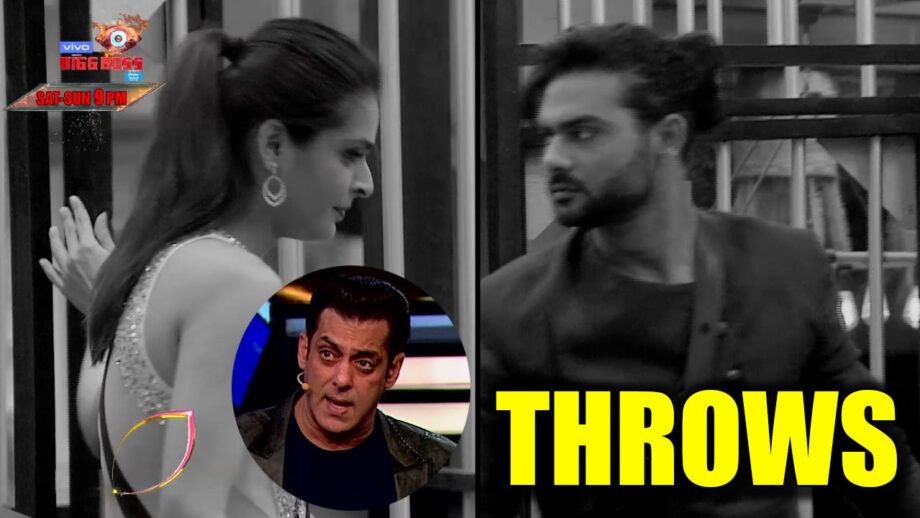 Bigg Boss 13: Salman Khan throws Vishal and Madhurima out of the house
