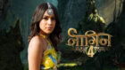 Interesting facts about Nia Sharma’s role in Naagin 4