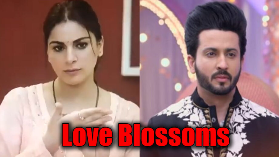 Kundali Bhagya: Love blossoms for Karan and Preeta?