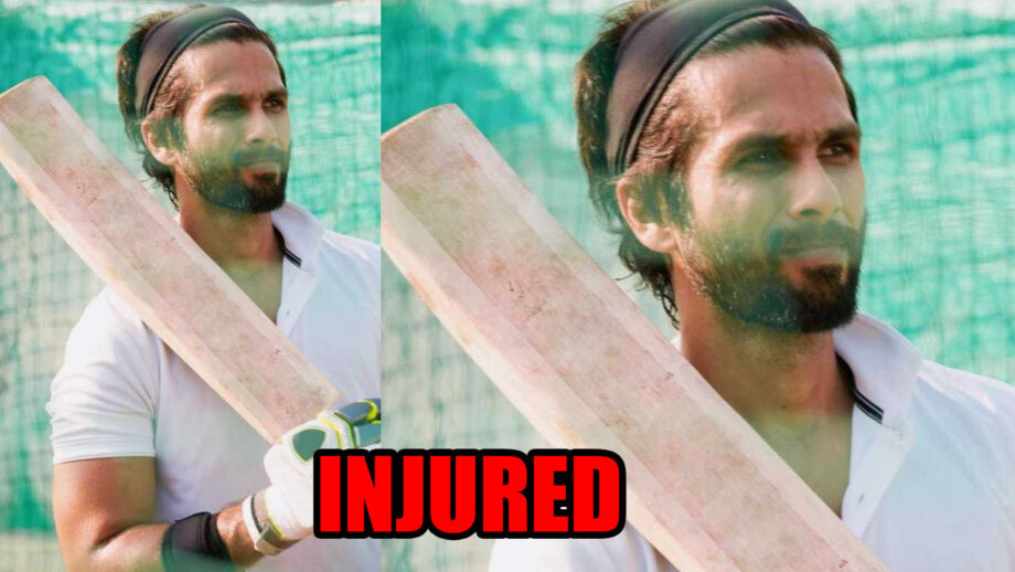 OMG: Shahid Kapoor INJURED while shooting for Jersey 1