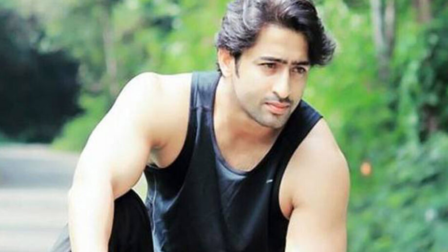 Shaheer Sheikh and his impeccable workout routine