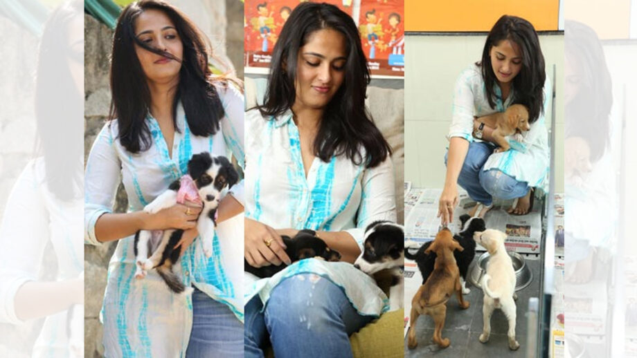 Anushka Shetty is an avid dog lover, here's proof 4