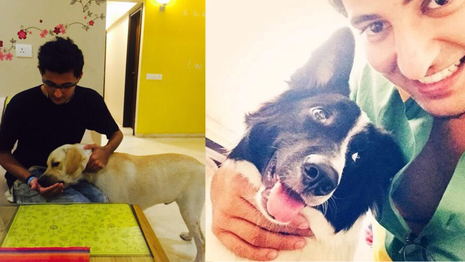 Darshan Raval is an avid dog lover