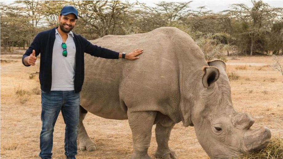Rohit Sharma And His Love For Animals 4