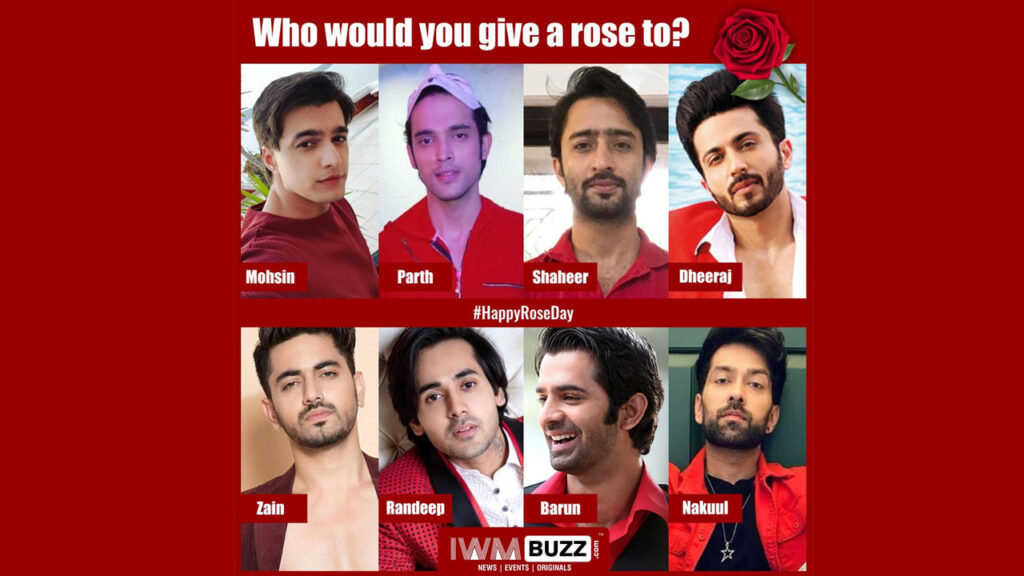 Vote Now: #RoseDay: Who would you like to give a rose to? Mohsin Khan, Parth Samthaan, Shaheer Sheikh, Dheeraj Dhoopar, Zain Imam, Randeep Rai, Barun Sobti, Nakuul Mehta