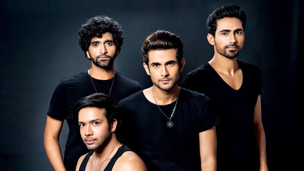 How much does Sanam (Band) earn?