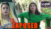 Vidya: Munni's mother to reveal Vidya's real identity
